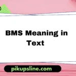 bms meaning in text