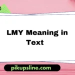 lmy meaning in text