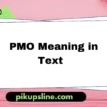 pmo-meaning-in-text