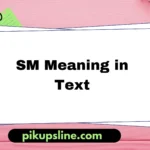 sm meaning in text