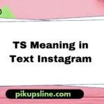 ts meaning in text instagram