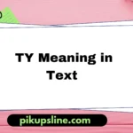 ty meaning in text