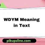 wdym meaning in text