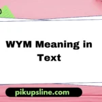 wym meaning in text