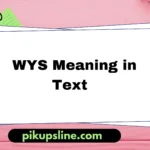 wys meaning in text