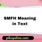 smfh meaning in text