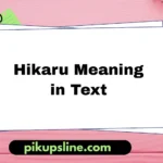 Hikaru Meaning in Text What it Really Means and Where to Use it