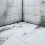 How Seamless Wall Panels Reduce Mold and Mildew in Moist Rooms