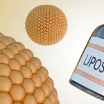 Lipofullerene Supplement: A Secret to Longevity?