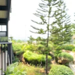 5 Ways to Blur the Lines Between Your Home Interior and Garden